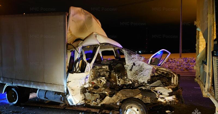 В Ярославской области за выходные в ДТП пострадали пять человек и один лось