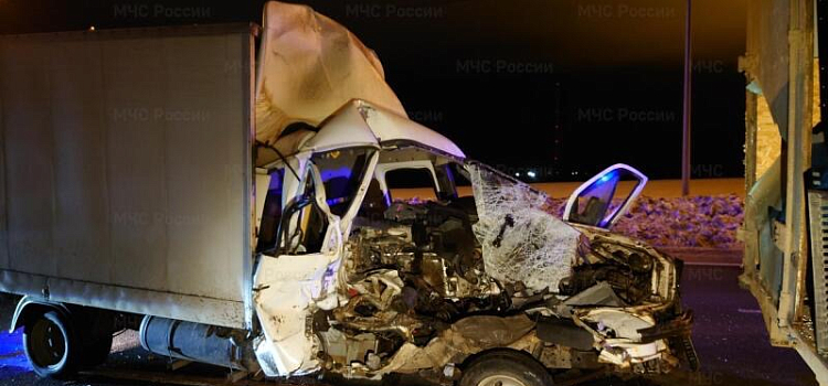 В Ярославской области за выходные в ДТП пострадали пять человек и один лось