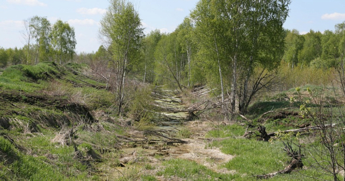 Человек с Берендеева болота: учёные рассказали, как выглядели и чем питались предки ярославцев тысячи лет назад
