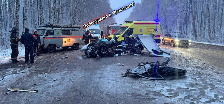 Скончалась в больнице: врачи не смогли спасти пострадавшую в ДТП у Лесных Полян