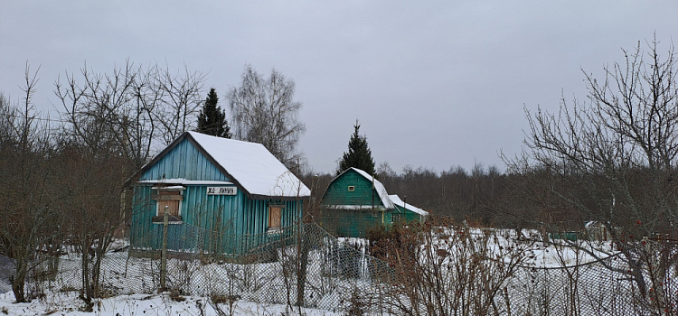 В посёлке под Ярославлем двух дачников задержали при попытке дачи взятки электрику