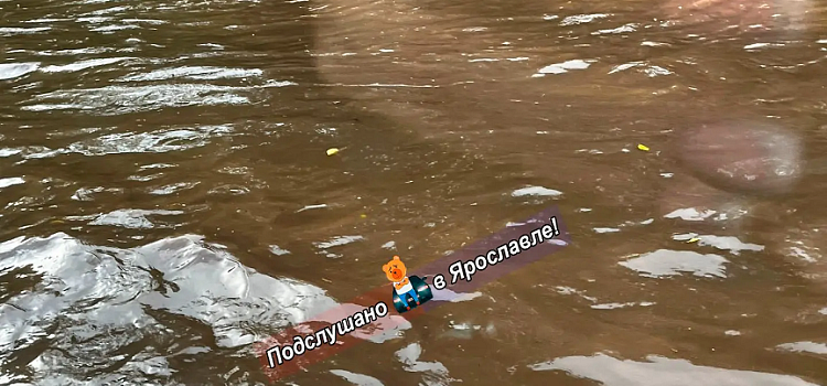 Вечерняя гроза: Ярославль подтопило, а часть Ярославского округа лишило электричества_319169