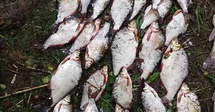 Выловили 164 экземпляра промысловой рыбы: в Ярославской области на Волге задержали браконьеров_247140