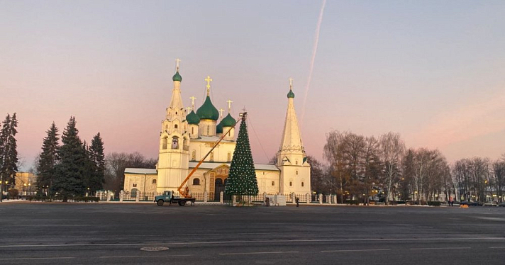 Фото дня. В Ярославле установили главную городскую елку