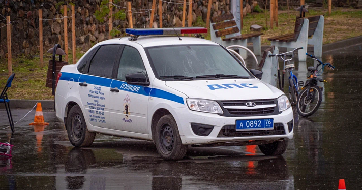 В Ярославле вынесли приговор пытавшемуся дать взятку горе-водителю