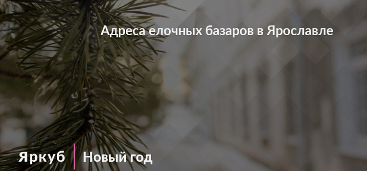 Ёлочные базары в Ярославле будут работать с 20 декабря