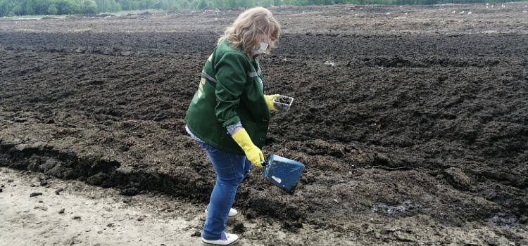 Птицефабрику «Волжанин» оштрафовали за неправильное обращение с куриным помётом