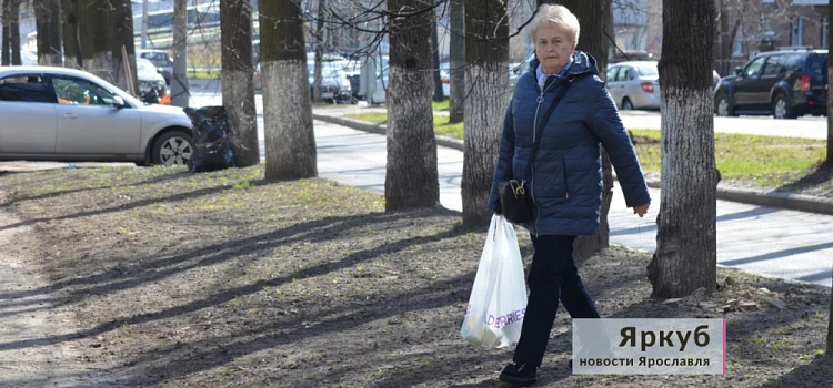 В Ярославле после протестов местных жителей отклонили проект строительства «Технопарка Перовский»