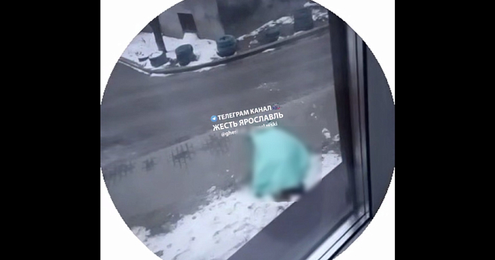 В Ярославле девушка погибла, упав с высоты