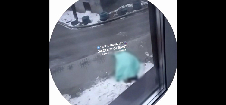 В Ярославле девушка погибла, упав с высоты