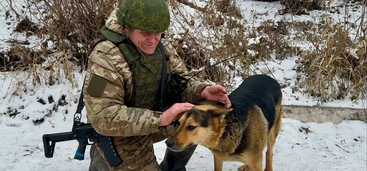 Лежал и умирал: боец из Ярославской области спас раненую овчарку