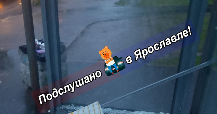 В Ярославле зафиксировали более 30 случаев вандализма за месяц
