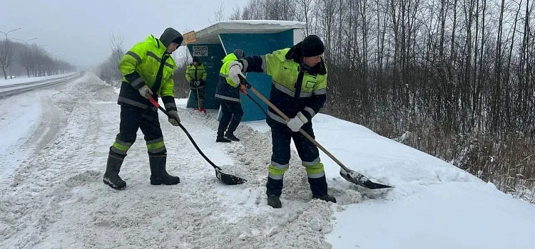 В правительстве Ярославской области рассказали об уборке дорог во время метели_309430