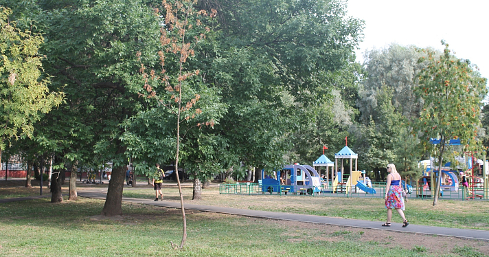 «Представляет опасность для жизни детей»: ярославский омбудсмен проверил недавно отремонтированный парк_218840
