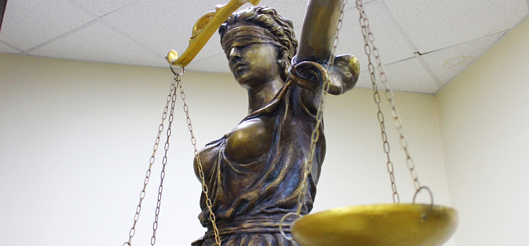Суд возложил на город ответственность за дерево, раздавившее автомобиль