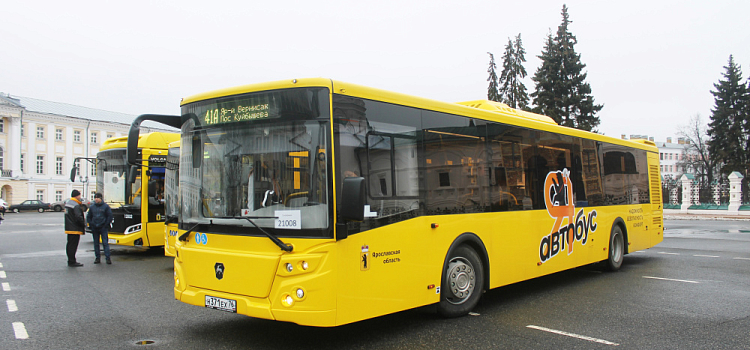 «Как на самолёте»: ярославцы назвали лучшие и худшие автобусные маршруты