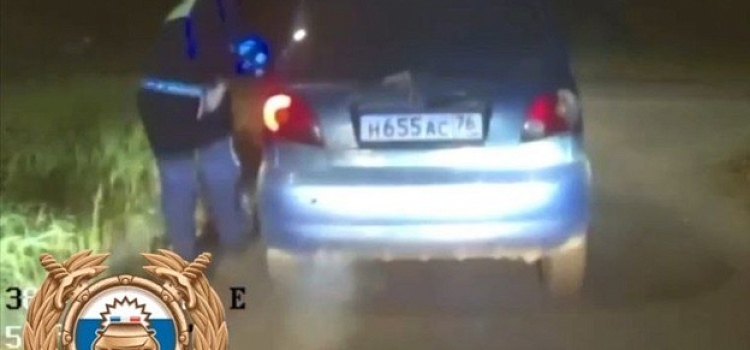 В Ярославской области полицейские устроили погоню за пьяным гражданином Узбекистана