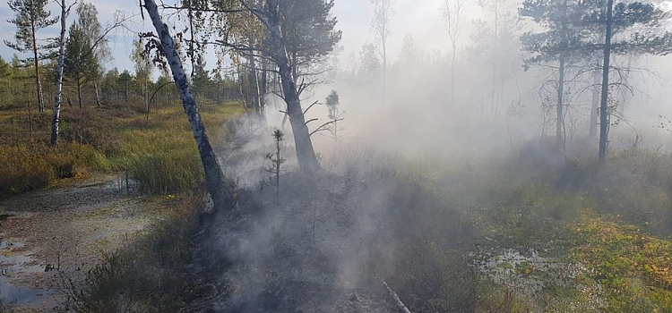 В Ярославской области зафиксировали ещё один торфяной пожар