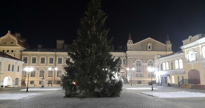Администрация Рыбинска прокомментировала спиленную в черте города ель для Красной площади