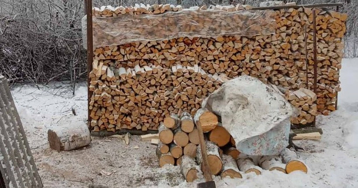 Жителям ярославских деревень запретили заготавливать дрова на зиму