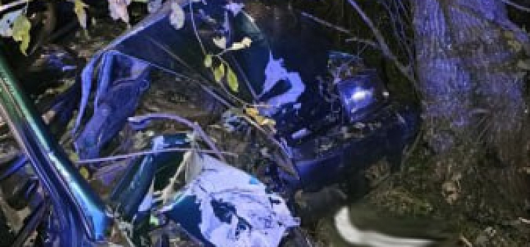 Кузов разворотило: автомобиль с компанией молодых людей врезался в дерево в Тутаевском районе