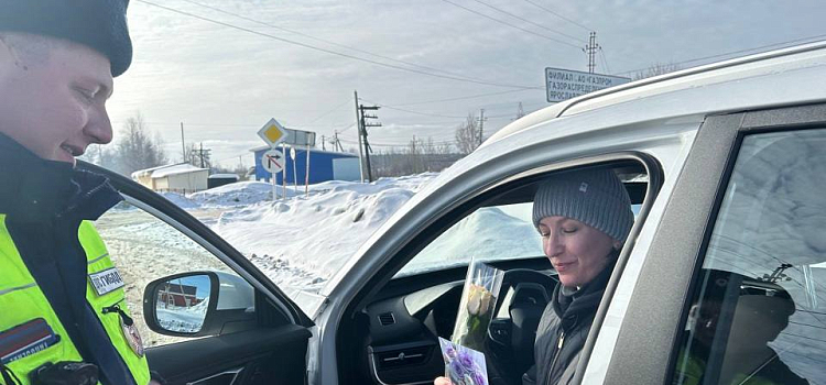 В Ярославле сотрудники Госавтоинспекции массово останавливали женщин-водителей_312593