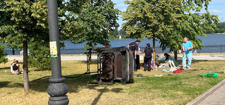 Телепорт в XIX век: в Ярославле перевернулся конный экипаж_246224