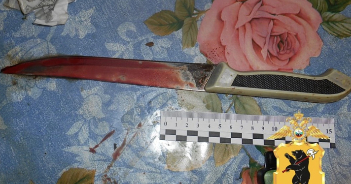 В Ярославской области пьяная девушка зарезала своего знакомого