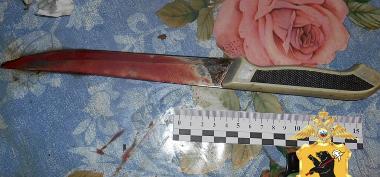 В Ярославской области пьяная девушка зарезала своего знакомого