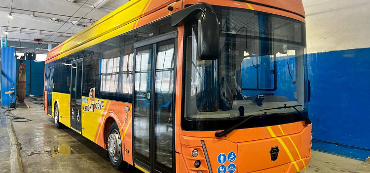 «Яэлектробус»: ярославцам показали новый вид общественного  транспорта_258852