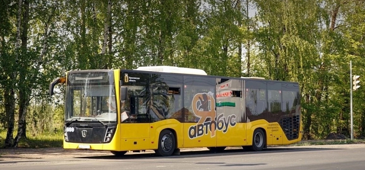Прекращается работа сезонных маршрутов: межмуниципальные автобусы перейдут на зимнее расписание