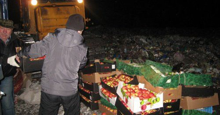 В Ярославкой области раздавили 1,7 тонны санкционных овощей и фруктов