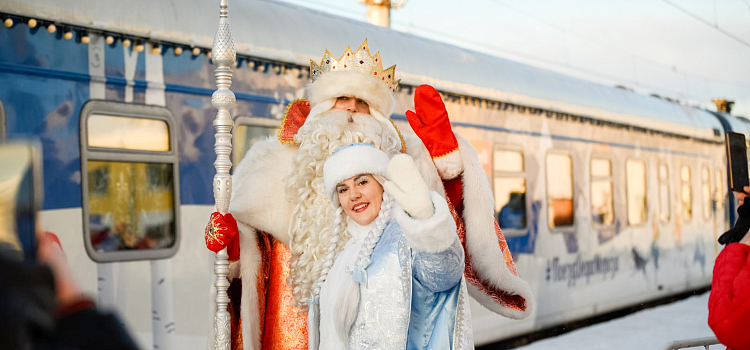 Праздник продолжается: в Ярославле побывал поезд Деда Мороза_261541