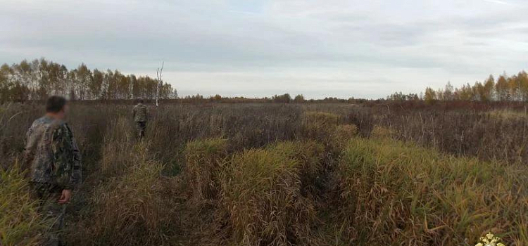 У деревни под Ростовом мужчина незаконно добыл лося_325312