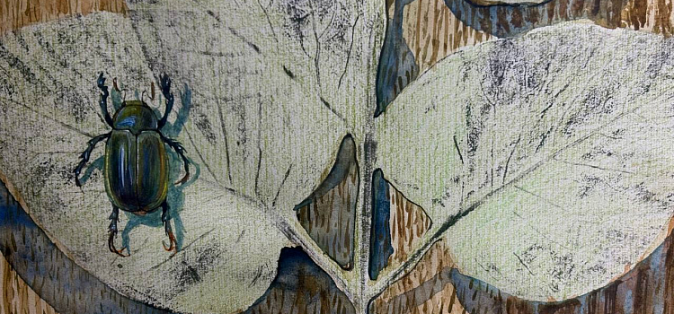 Оранжерея иллюзий: в Ярославле проходит выставка «Иллюзия/реальность»_312240