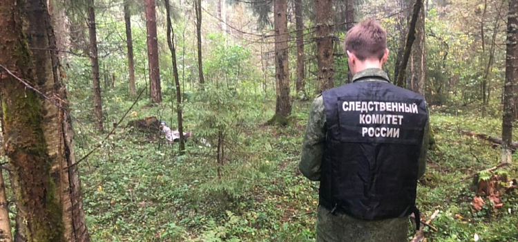 В Ярославской области нашли труп пропавшего без вести мужчины
