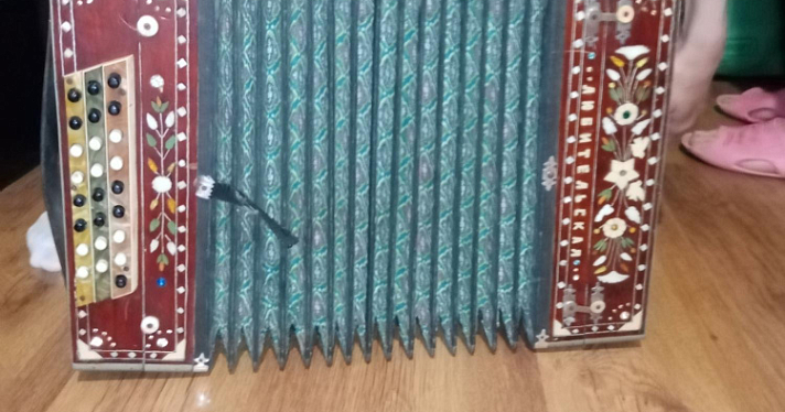 Мужичок с гармошкой: житель Ярославской области украл из сельского клуба гармонь для личного пользования