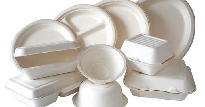 Идею отказаться от пластиковой посуды в пользу бумажной на фестивалях критически оценили ярославские экоактивисты