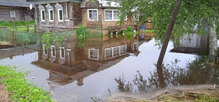Роспотребнадзор проверит качество воды после подтопления села Заозерье