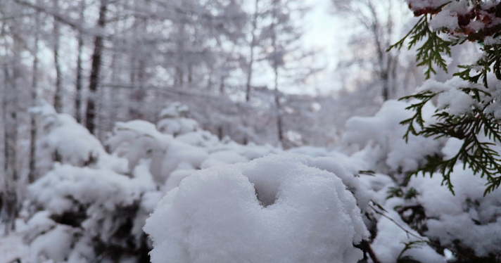 Репетиция зимы: ТОП-10 фотографий снежной сказки