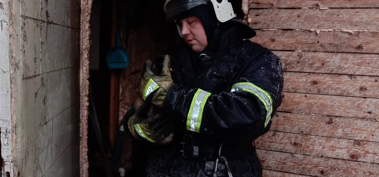 Ярославский пожарный спас кота из горящего дома_292417