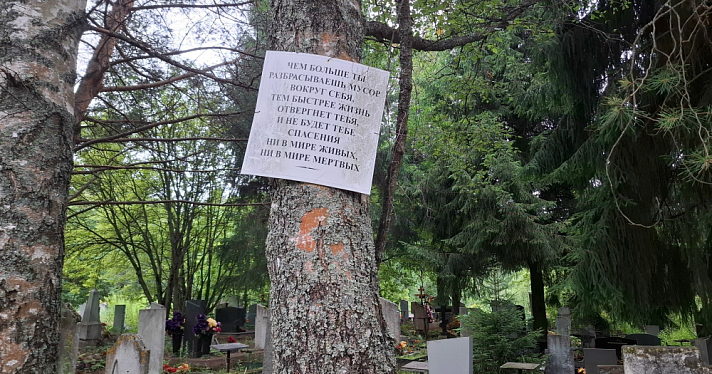 На всех кладбищах Ярославской области планируют установить контейнеры для мусора