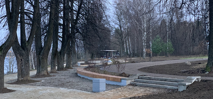 Многострадальная Павловская роща в Ярославле приобретает новый облик_286138