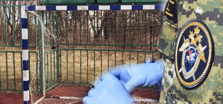 Футбольные ворота упали на голову: школьного завхоза осудят из-за травмы ребенка в Пошехонье