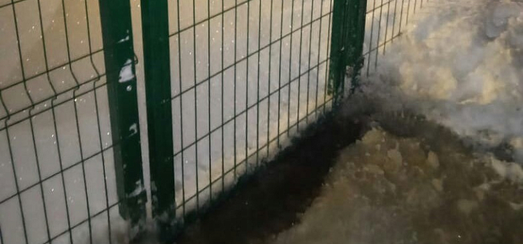 Ярославские собачники не смогли выгулять своих питомцев на новой площадке_228860