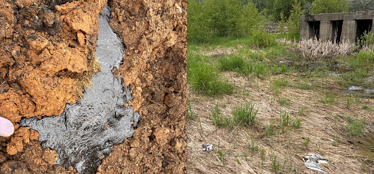 Чёрная смесь из-под земли и химический запах на всю округу: на Резинотехнике на поле с отходами гибнет всё живое_274363