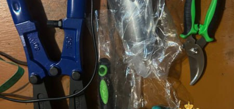 В Ярославской области задержали воришку икон и инструментов_309779