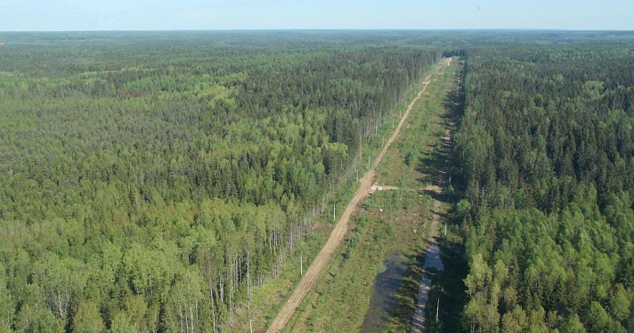 «Транснефть — Балтика» за полугодие продиагностировала более 1 тыс. км трубопроводов