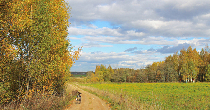 Тепло пока не сдаётся: ярославцам рассказали, когда ждать первый снег