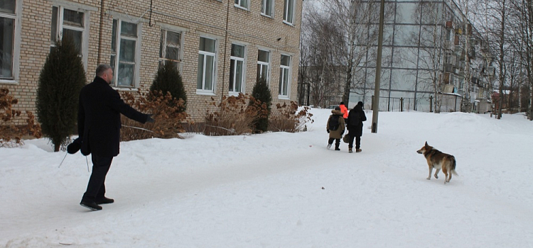 В Ярославской области на третьеклассников напала собака: ее чипируют и найдут нового хозяина